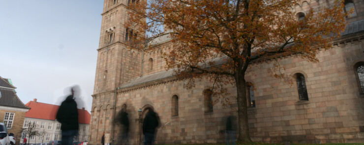 Viborg Domkirke