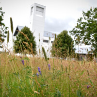 20230720_Gullestrup Kirke