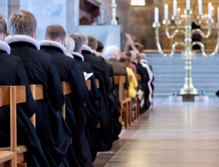 Præster sidder på række i domkirken til ordination